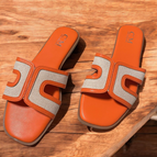Orange / 36